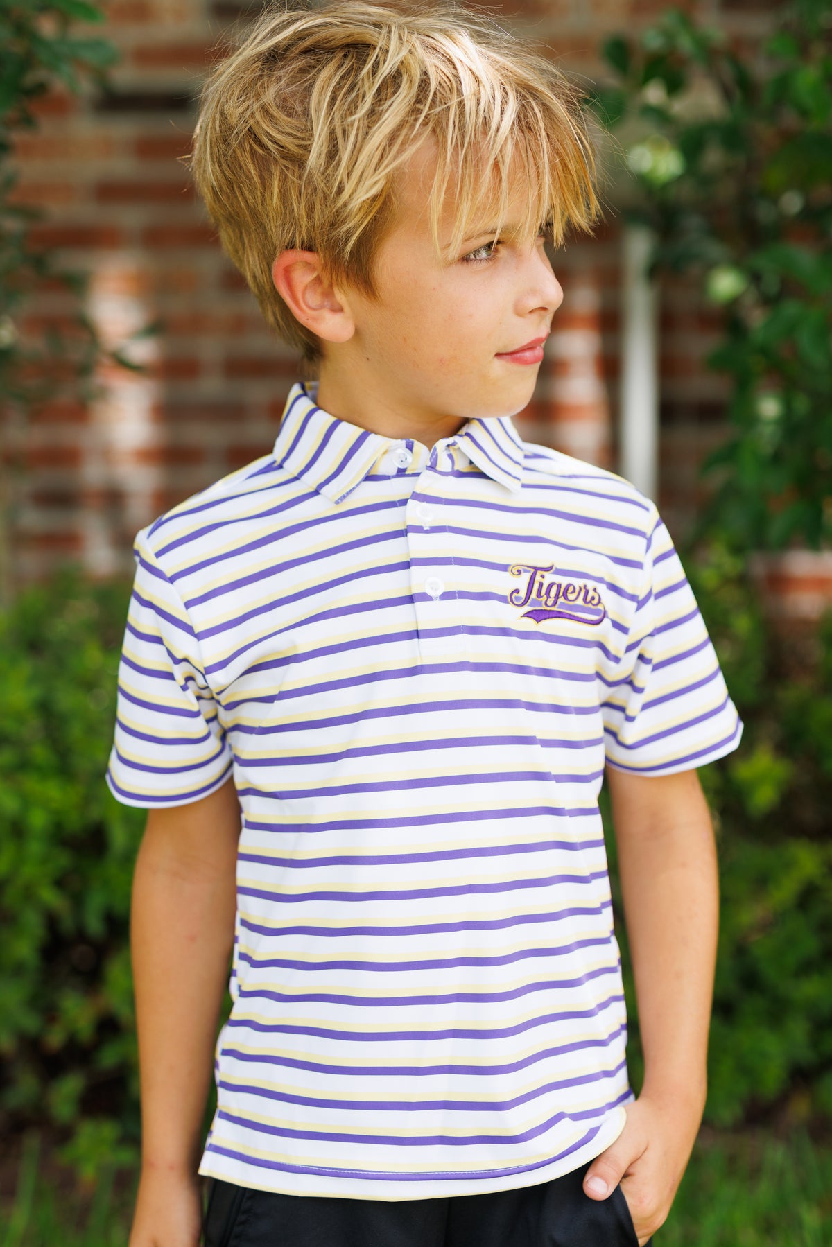 Purple and Gold Club Polo