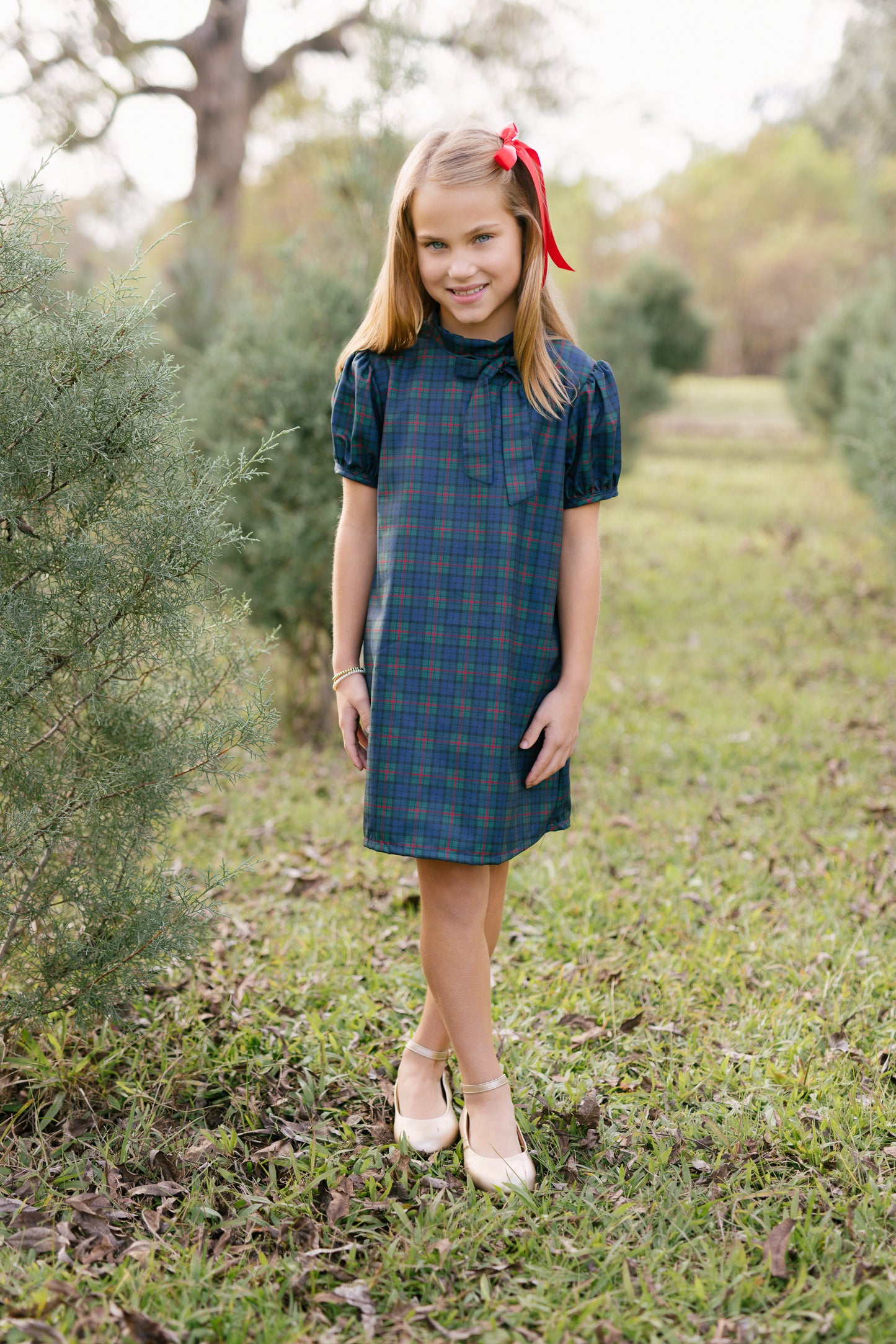 Navy Noel Plaid Dress