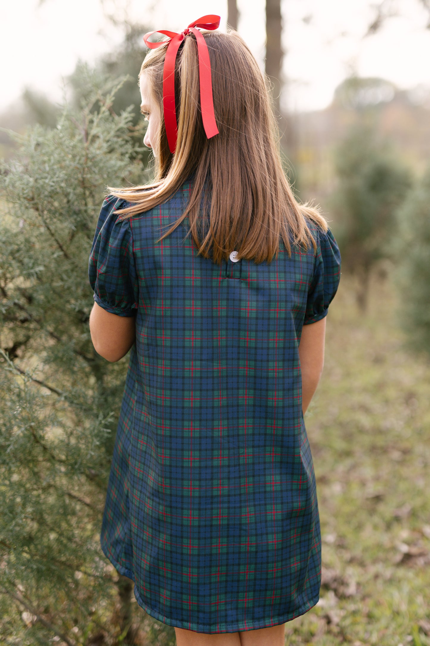 Navy Noel Plaid Dress
