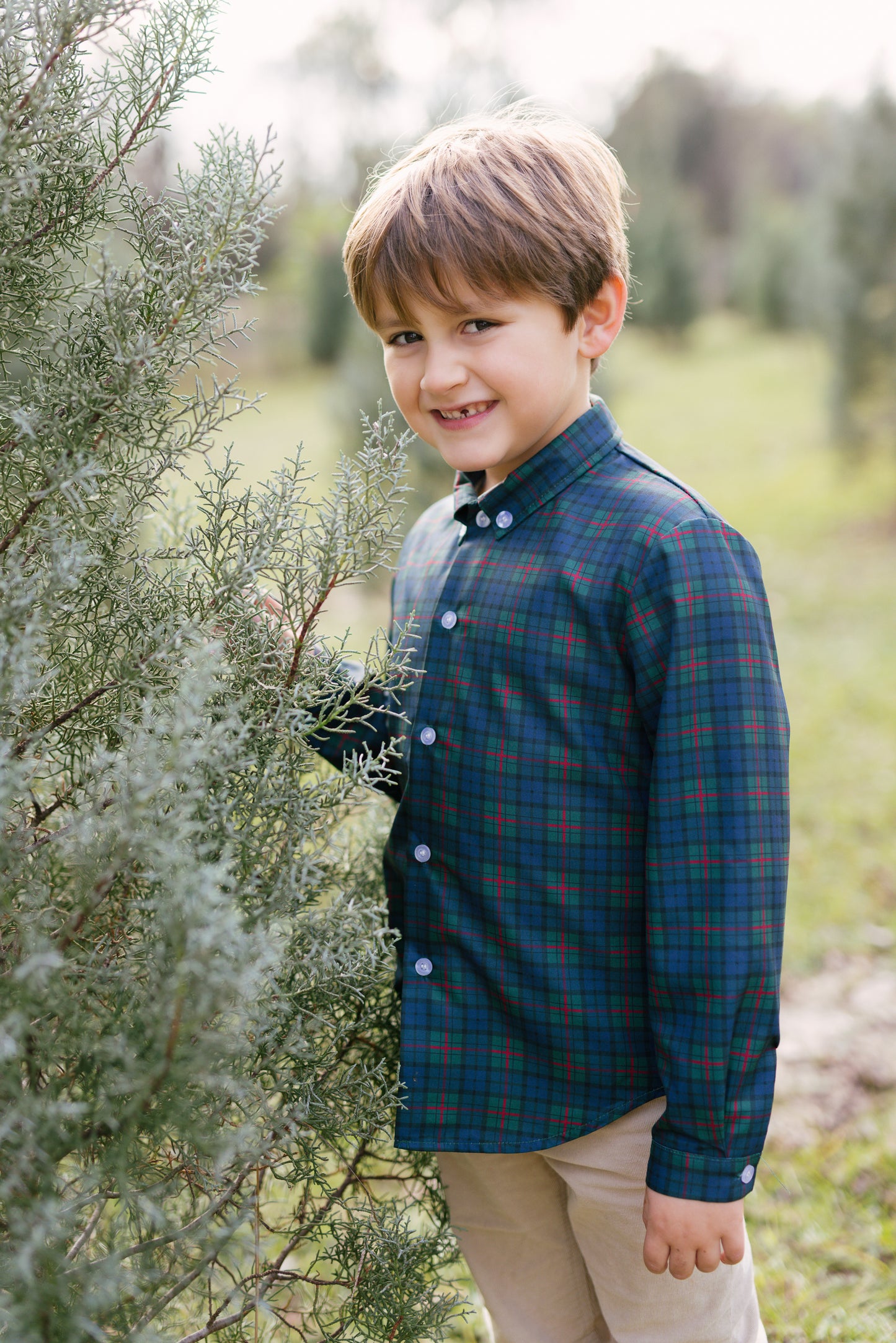 Navy Noel Plaid Button Down