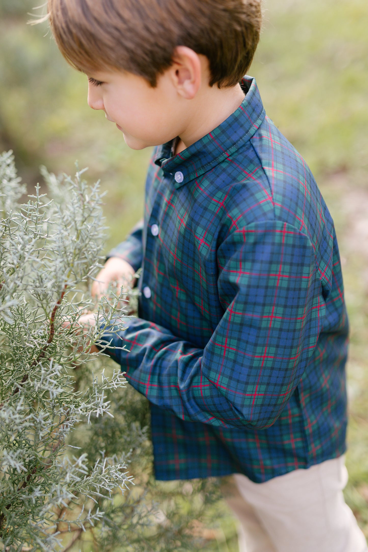 Navy Noel Plaid Button Down