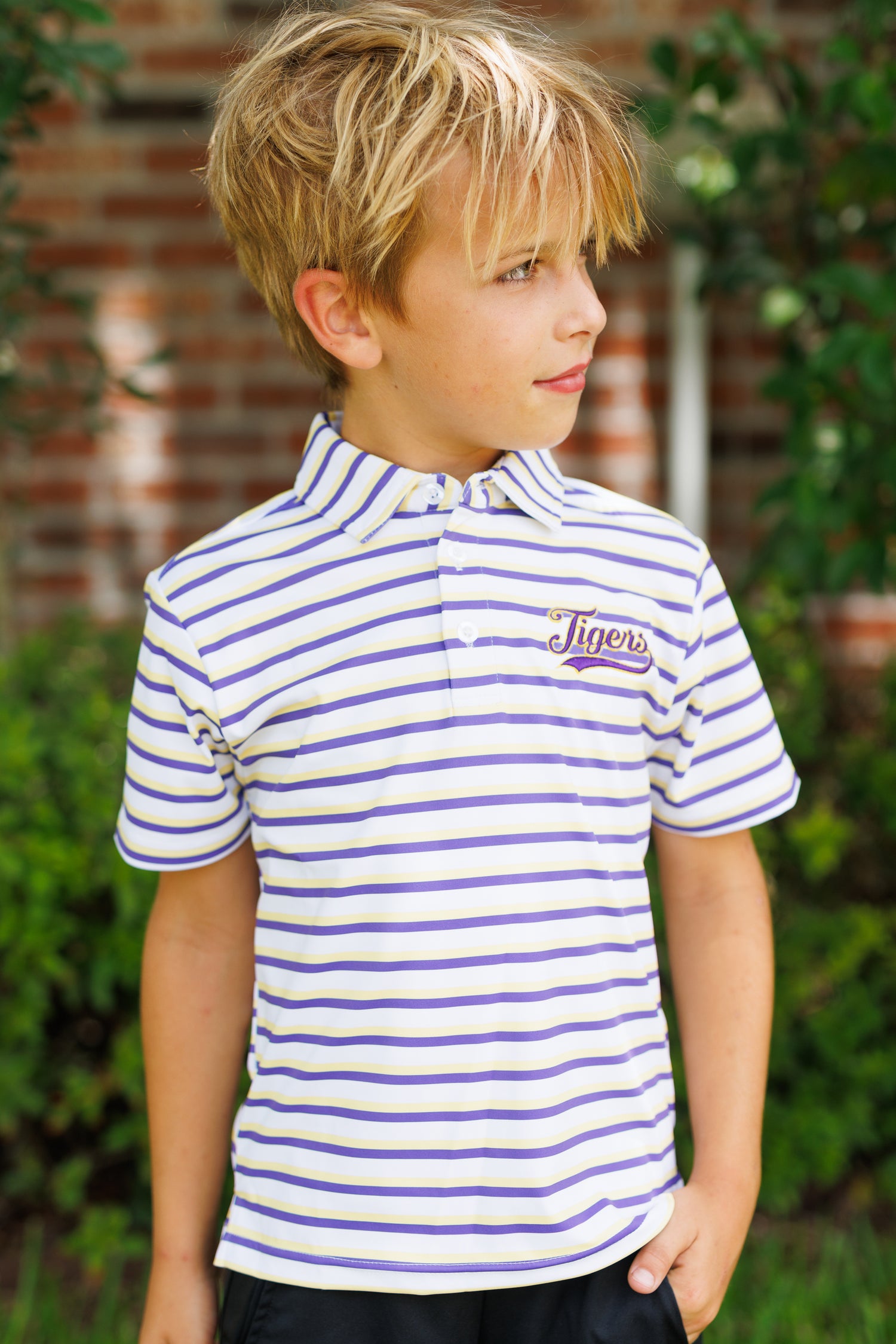 Purple and Gold Club Polo