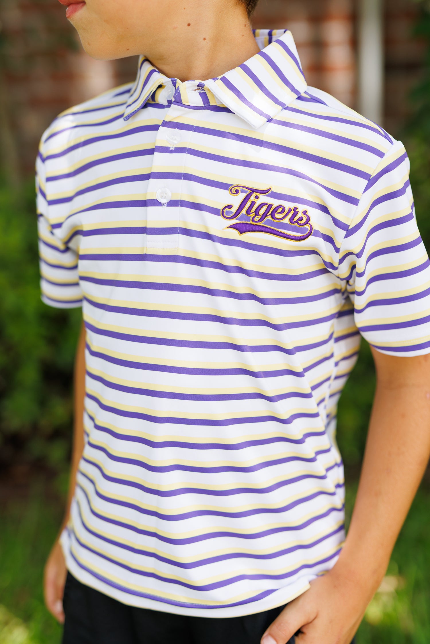 Purple and Gold Club Polo