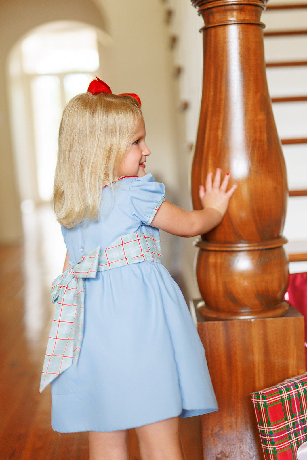 Winterberry Blue Party Dress