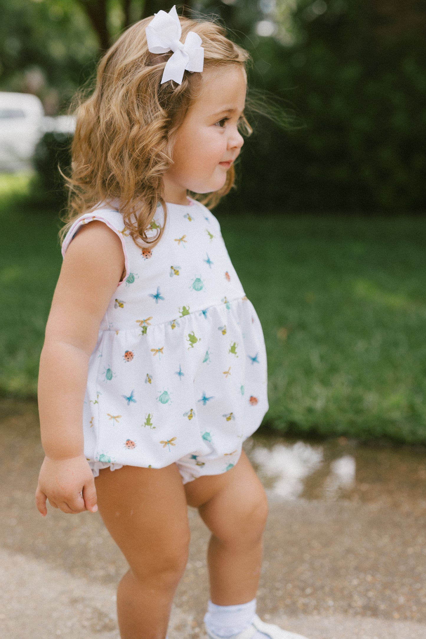 Bug Bliss Scalloped Edge Bubble